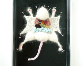 White Knitted Lab Rat in an actual dissection tray