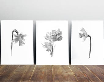 Daffodil Art - daffodil painting - print set - black white gray flowers - flower decor - flower art - zen art - daffodil