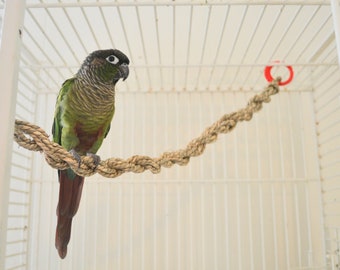 SMALL seagrass vine bird perch