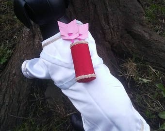 Valentine's Day, Cupid costume, Cupid dog costume, Valentine's dog outfit