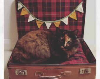 Bespoke restored small pet trunk bed.