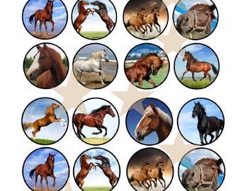 24 Pferde Torten Muffin Deko CupCake Topper Esspapier Oblaten Muffinaufleger essbaren Papier Cupcake Toppers, Oblatenpapier F2
