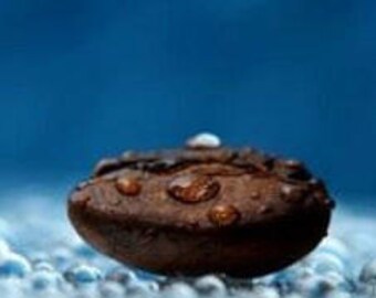 Freshly Roasted Coffee, Gourmet Coffee, Whole Bean Coffee Beans, Chocolate Nut Flavored, 12oz Bag of Coffee, Gifts under 15; Christmas Gifts