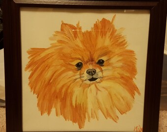 Watercolor Pencil Pomeranian Painting or Print