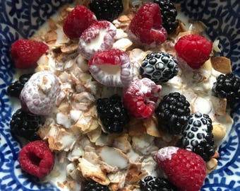 Sweet Cinnamon Keto Friendly, Grain-Free, Sugar-Free Granola One Pound