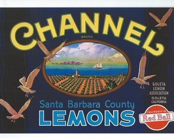 Lemon Fruit Crate Label, Channel from Santa Barbara Vintage Reproduction to Frame or for Paper Arts & Collage PSS 3229