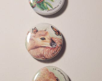 Into The Wild- Magnets- set of 3