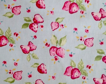 Strawberry Fabric from Clarke and Clarke