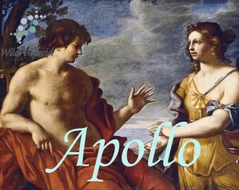 Apollo Perfume Oil - 5ml Vanilla musk, vanilla, cardamom and frankincense