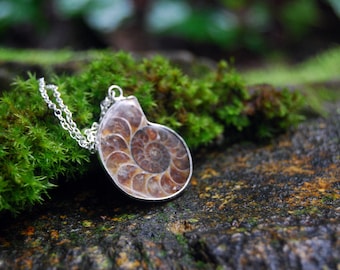 Ammonite Fossil Shell Necklace | Real Ammonite Necklace | Fossilized Shell Necklace | Ammonite Pendant | Nautilus Necklace