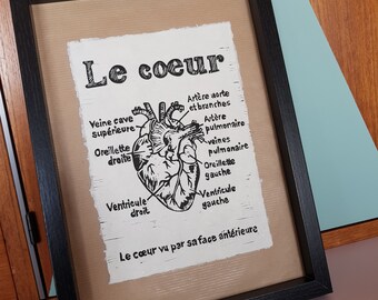 The heart, anatomically correct, linographie