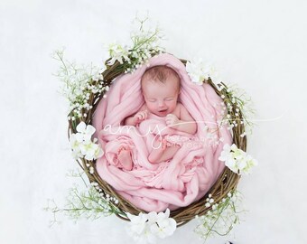 Newborn Photography Prop Merino Wool Basket Stuffer Filler