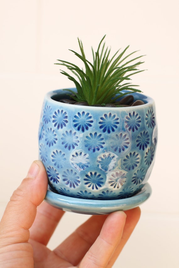 blue succulent planter // small planter // coastal decor