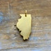 1 - Illinois State Charm in Brushed 24k Gold Plated or Silver Stainless Steel Silhouette Personalized Layered Minimal Jewelry Pendant