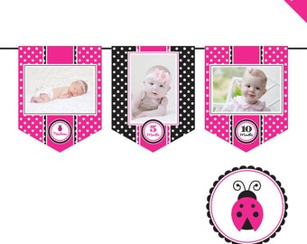 INSTANT DOWNLOAD Pink Ladybug Party - DIY printable photo banner kit