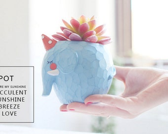 Cute Animal Planter - Elephant & Whale