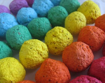 50 Rainbow seed bombs- 6 color combo