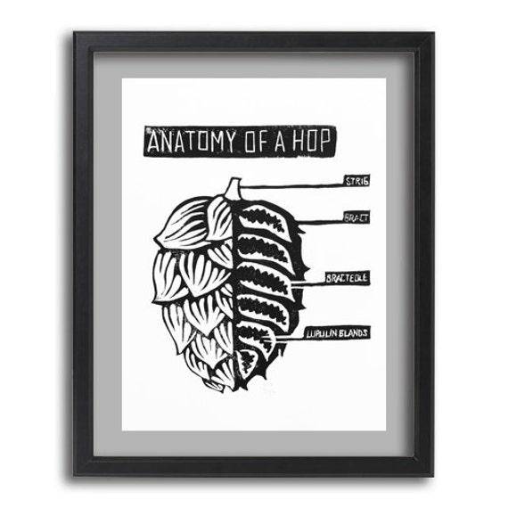 Anatomy of a Hop - Instant Digital Download