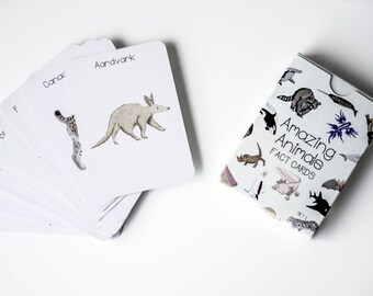 Animal Gift - Flash Cards - Home Education - Preschool Resource - Resource - Animal Lover Gift - Birthday Gift - Educational Activity