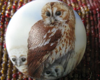 Burrowing Owl Family Trio Czech Glass Button 42mm