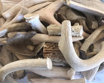5-Pounds-Deer-Antler-Scraps-Pieces-Chunks-Grades-A-B-and-C