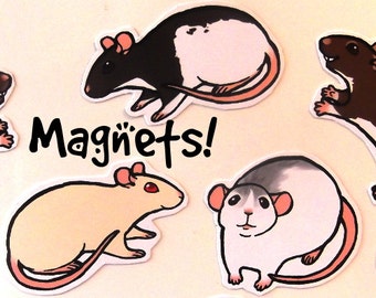 Cute Fancy Rat Decorative Magnets! Pack of 8 - Custom Made to Order
