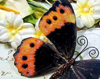 Butterfly Embellishments Sunset