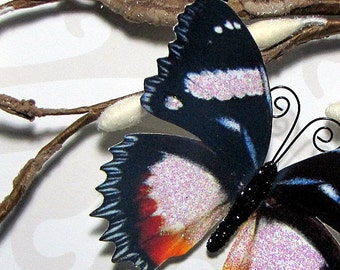 Butterfly Embellishments Twilight