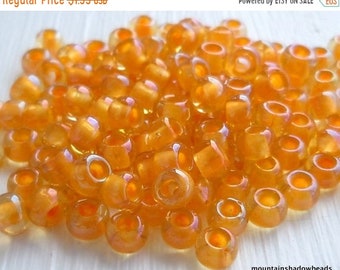 Shop Closing 50% OFF Seed Bead - Jonquil Burnt Orange Lined 6/0 Seed Beads - 2.5" Tube (BX - 1)