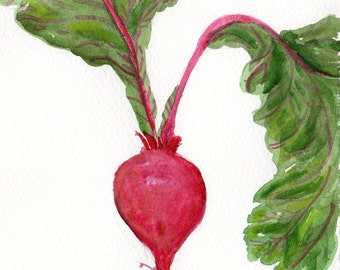 Beet watercolor painting original, rustic painting 5 x 7, beet art, original painting beets, food art, SharonFosterArt, rustic painting