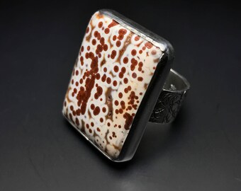 Ocean Jasper Ring Argentium Sterling Silver
