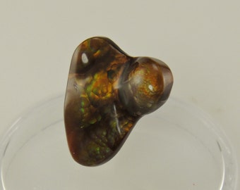 S26- Fire Agate- 16x14x3- 4.80 ct.