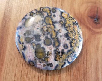 Leopard skin jasper 16