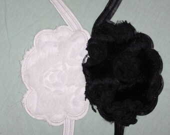 Couple 1 coat of black and White Swan