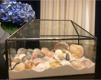 Decorative Florida Crushed Quartz Beach Sand