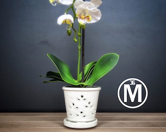 Waikiki 2018 Edition (MEDIUM 5.5") Handmade Ceramic Orchid Pot With Attached Saucer, Orchid Planter, Glazed Pottery | Gift