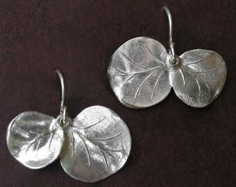 Eucalyptus leaf earrings-silver