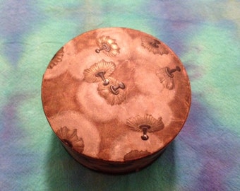 Vintage Coty Powder Puff Powder Box