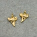 SMALL Mako Shark Tooth - 24k Gold Plated Small REAL Sharktooth Terrarium Supplies Pendant Charm Jewelry Supplies (AN021)