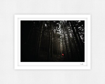Not all those who wander are lost
