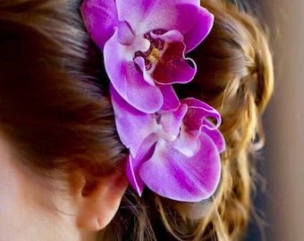 Orchid Hair Clip, Phalaenopsis, Wedding, Bridal Hair Accessories, Floral Hair Clip or Comb, Hair Veil, Hair Pin, Beach Weddings,Summer Hair