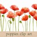 Digital Clipart, Watercolor Poppies, Flower Clipart