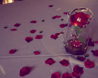 Beauty and the Beast Bell Jar