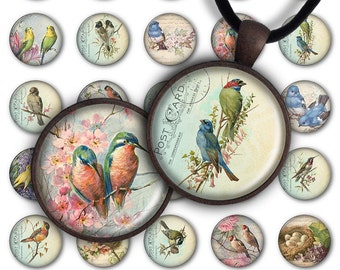 75% OFF SALE Digital Collage Sheet - Lovely birds PC069 1inch Round image bird 30mm 25mm 20mm Circle Pendant Instant Download Jewelry Making