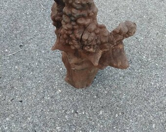 Man's head