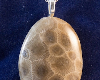 Petoskey Stone Necklace and Sterling Filled chain