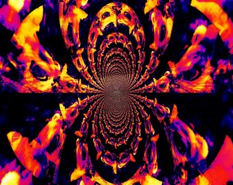 Rainwater Art Spider envy By C Rainwater