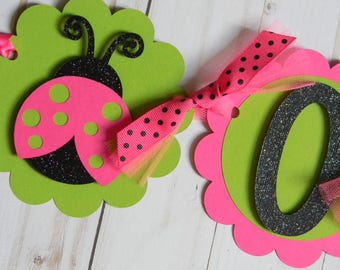 Ladybug High Chair Banner, Ladybug Pink and Green Banner, Ladybug First Birthday, Ladybug Banner, Ladybug ONE Banner, Ladybug Party Decor