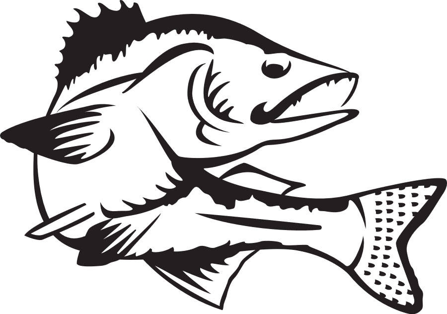 Судак векторный рисунок