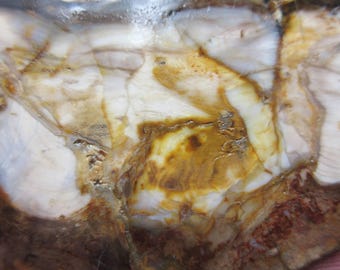 Petrified Wood Slab, 120 x 90 x 8mm